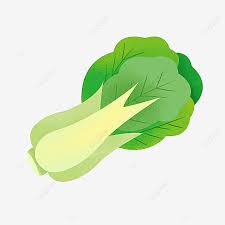 Pilih sebuah opsi 250 gram 500 gram 1000 gram. Chinese Cabbage Dish Vegetables Png Transparent Clipart Image And Psd File For Free Download