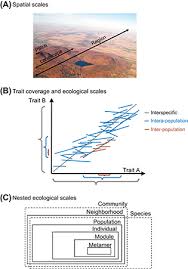 Trait Variation And Integration Across Scales Is The Leaf Economic Spectrum Present At Local Scales Messier 2016 Ecography Wile Scale Traits Spectrum