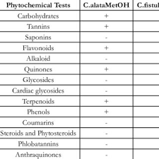 Image result for Pentadesma reyndersii