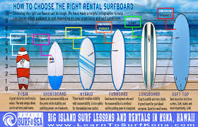 How To Choose The Right Beginner Surfboard The Perfect Wave