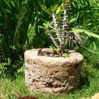 Recettes D Hypertufa Pour La Creation Une Pierre Calcaire Presentant De Fortes Irregurites Ou D Un Rocher Lisse Genre Plages D Faux Rochers Jardins Mur Vegetal