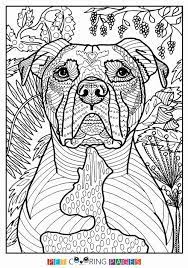 We provide coloring pages, coloring books, coloring games, paintings, and coloring page instructions here. Pin On Coloring Pages