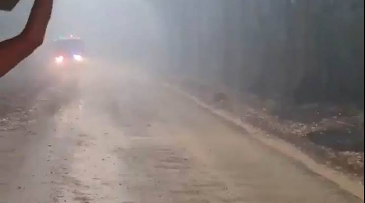 Resultado de imagem para Rain australia"