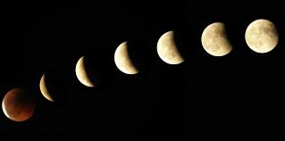 Pleine Lune Et Eclipse Du 21 Janvier 2019 Changement Et Opportunite Jardin De La Lune Phase De La Lune Calendrier Du Jardinier