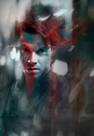 tom krieger's Photos & Galleries