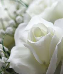 James Weaver Obituary July 29, 2014