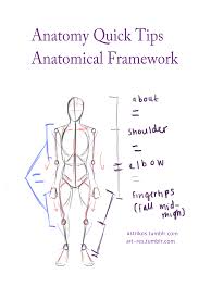 Best drawing instruction books for beginners. Anatomy Drawing For Beginners Anatomy Drawing Diagram