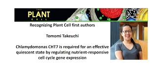 Check spelling or type a new query. Plantae Recognizing Plant Cell Authors Tomomi Takeuchi Plantae