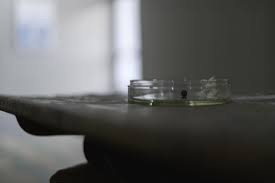 Bildergebnis für Genc Kadriu