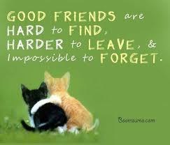 Maybe you would like to learn more about one of these? 45 Inspiring Friendship Quotes To Warm Your Heart Explorepic