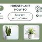 Houseplant How-To event image