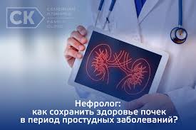 Етаж ii, кабинет 36 тел. Nefrolog Kak Sohranit Zdorove Pochek V Period Prostudnyh Zabolevanij Semejnaya Klinika