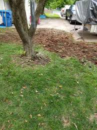 Very polite and knows his business. Roto Rooter Plumbing And Drain Service Reviews Ozark Mo Angi Angie S List