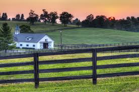 Browse photos, see new properties, get open house info, and research neighborhoods on trulia. Eagle Mountain Lake
