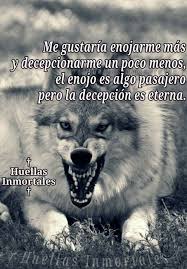 Hay Perdon Pero No Hay Olvido Frases De Lobos Frases Fregonas Frases De Sabiduria