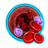 Documents similar to types of cancer & warning signs. Cancer Warning Signs Caution Skin Cancer For Nursing Rn