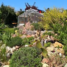 Schritt Fur Schritt Anleitung Fur Ihren Steingarten Wir Zeigen Welche Pflanzen Geeignet Sind Und Wie S Steingarten Pflanzen Steingarten Gestalten Steingarten