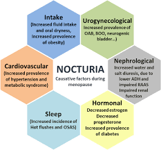 Image result for Nocturia