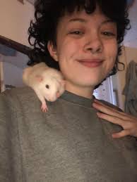 can anyone recommend some fall breakers for corners of the cage. my girl  like to jump head first from the top level of my savic freddy cage to the  bottom, i don't