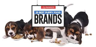 Siamo la tua pet nutrition company! Top 25 Best Puppy Food Brands Of 2020 Dog Food Reviews Ranks