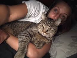 Missing Cat Prince in Fargo/Moorhead Area