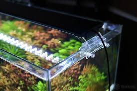 Best Led Aquarium Lighting An Expert 2020 Guide Authority Aquarium