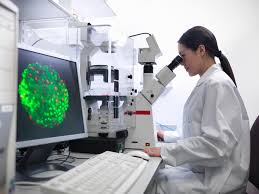 Pros And Cons Of Stem Cell Research