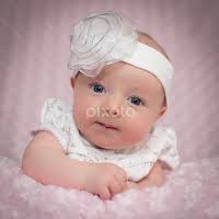 Stock Image Search Results