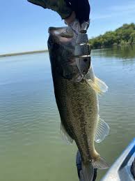 Land for sale including property in lake amon g carter, texas. Lake Amon G Carter Tx Fishing Reports Map Hot Spots