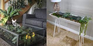 Let's take a look at them and. Here S How To Make Your Own Terrarium Coffee Table Diy Terrarium Coffee Table Guide