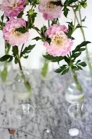 Maybe you would like to learn more about one of these? Tried And Tested How To Make Fresh Flowers Last Longer Gardenista