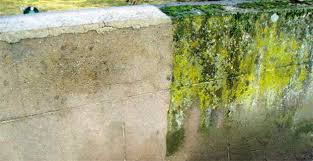 We did not find results for: Comment Nettoyer Des Murs Facades Et Terrasses Re A La Hune