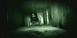 But true fans know there's no reason not to enjoy scary movies. Pin On Netflix