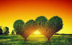 Hd nature wallpapers for android. Hd Nature Background Images Posted By Samantha Simpson
