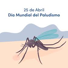 Las naciones unidas establecen el día 25 de abril como el día mundial del paludismo o día mundial de la malaria, una fecha marcada en el calendario para recordar que esta enfermedad sigue matando a 660.000 personas al año, especialmente a niños menores de cinco años del áfrica subsahariana. Dia Mundial Del Paludismo Sociedad Medica Universal