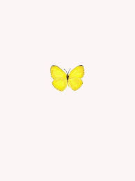 Pin By Shali Sellers On Tattoo Ideas In 2021 Yellow Butterfly Tattoo Yellow Butterfly Small Butterfly Tattoo
