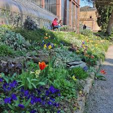Da Haben Sich Zwei Susse Enten In Den Botanischen Garten Verirrt Die Beiden Finden Die Blutenpracht Wohl Auch So Schon W Instagram Pictures Pictures Karlsruhe