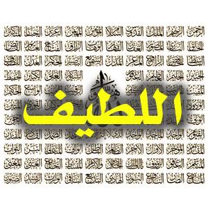 من أسماء الله الحسنى: [اللطيف] - ناصحون