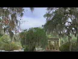 We did not find results for: Savannah Garden Of Good And Evil Bonaventure Cemetery Youtube