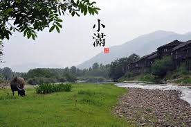 Lesser fullness of grain (8th of the 24 solar terms). å°æ»¿äºŒåå››ç¯€æ°£
