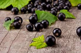 Here are some of the difference between the blackberry tour 9630 and the blackberry curve 8530. What Does Blackcurrant Taste Like Thrive Cuisine
