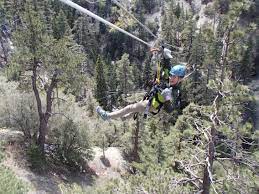 Despite the small size, it is a big hiker town. Ziplines At Pacific Crest Formerly Navitat In Wrightwood California Kid Friendly Attractions Trekaroo