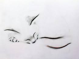 Cat Line Drawing Cats Tattoo Ideas Cat Tattoo Cat Art