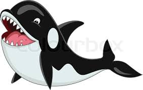 Orca Cartoon Stock Vector Colourbox Cute whale cartoon collection eps vectorsby lineart1/482. orca cartoon stock vector colourbox