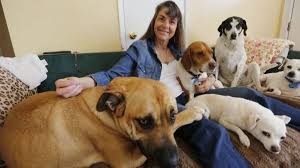 Digital journal is a digital media news network with thousands of digital journalists in 200 countries around the world. Pet Daycare Known For Rescue Work Closing Up Shop The San Diego Union Tribune