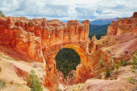The fastest bus normally takes 2h 50m. The Top 3 Visitor Tours In Cedar City Ut