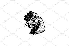 Chicken Head Art Design Composition Design Art Design Design