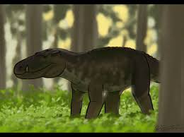 Image result for Hypuronector