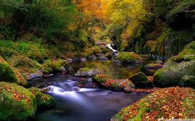 Cool 4k wallpapers ultra hd background images in 3840×2160 resolution. Creek Wallpapers Wallpaper Cave