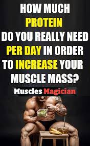 If you're weight training without the results you want, you may need to rethink your protein intake! Protein For Muscle Mass Protein To Build Muscle Muscle Mass Build Muscle